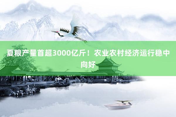 夏粮产量首超3000亿斤！农业农村经济运行稳中向好