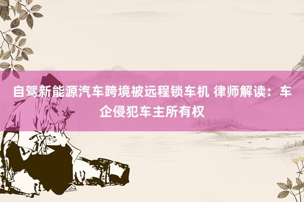 自驾新能源汽车跨境被远程锁车机 律师解读：车企侵犯车主所有权