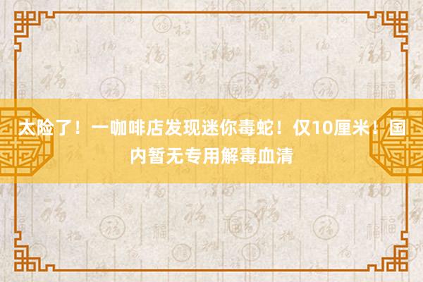 太险了！一咖啡店发现迷你毒蛇！仅10厘米！国内暂无专用解毒血清
