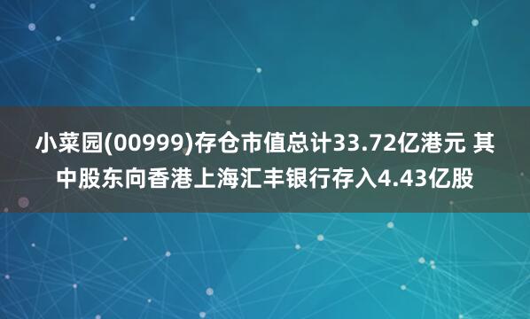 小菜园(00999)存仓市值总计33.72亿港元 其中股东向香港上海汇丰银行存入4.43亿股