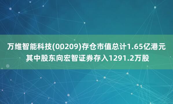 万维智能科技(00209)存仓市值总计1.65亿港元 其中股东向宏智证券存入1291.2万股