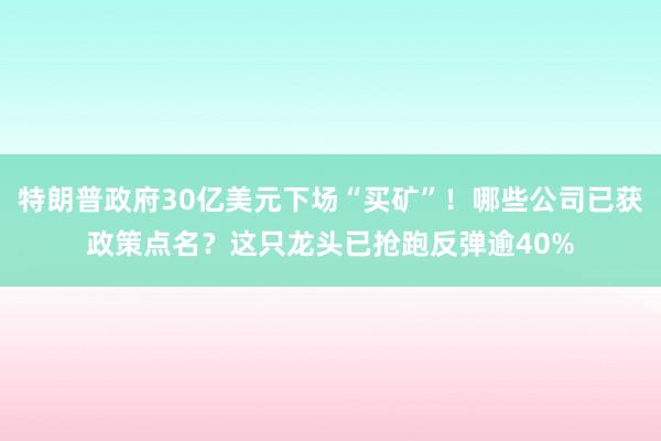 特朗普政府30亿美元下场“买矿”！哪些公司已获政策点名？这只龙头已抢跑反弹逾40%