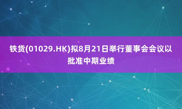 铁货(01029.HK)拟8月21日举行董事会会议以批准中期业绩