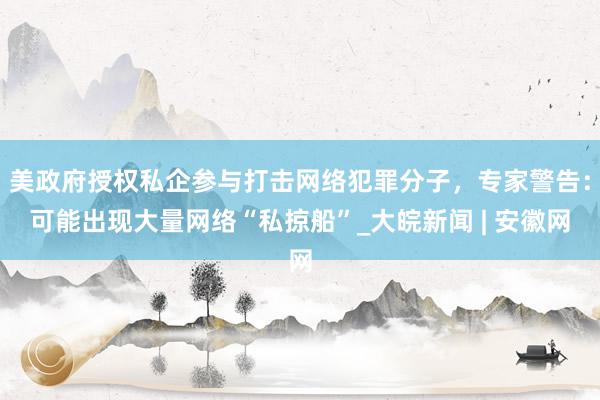 美政府授权私企参与打击网络犯罪分子，专家警告：可能出现大量网络“私掠船”_大皖新闻 | 安徽网