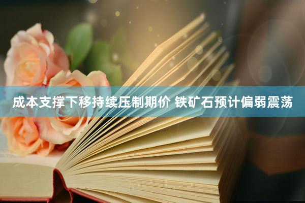 成本支撑下移持续压制期价 铁矿石预计偏弱震荡