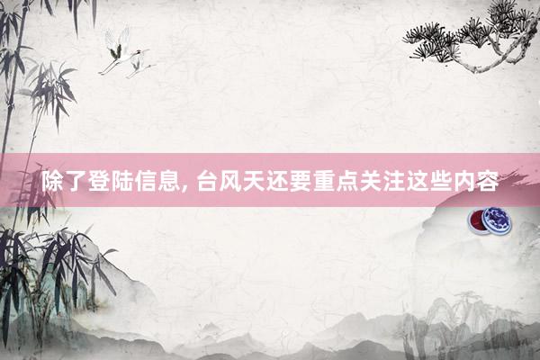 除了登陆信息, 台风天还要重点关注这些内容