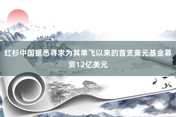 红杉中国据悉寻求为其单飞以来的首支美元基金募资12亿美元