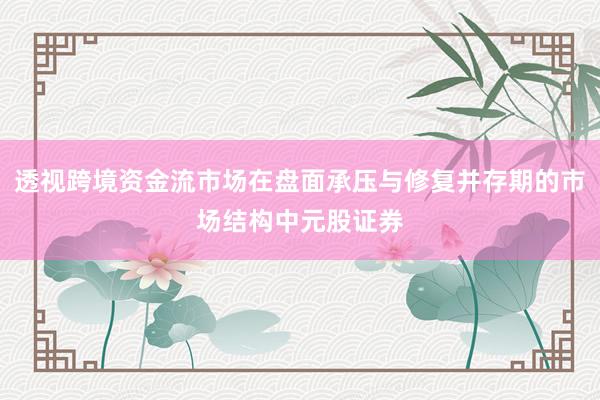 透视跨境资金流市场在盘面承压与修复并存期的市场结构中元股证券
