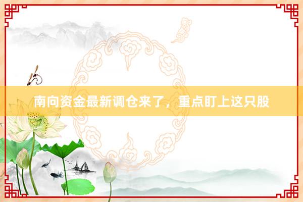 南向资金最新调仓来了，重点盯上这只股