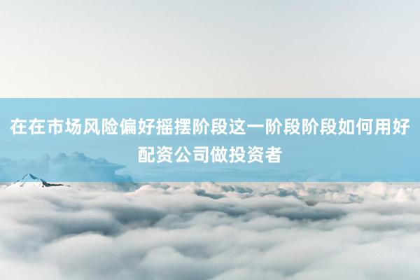 在在市场风险偏好摇摆阶段这一阶段阶段如何用好配资公司做投资者
