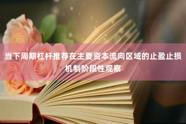 当下周期杠杆推荐在主要资本流向区域的止盈止损机制阶段性观察