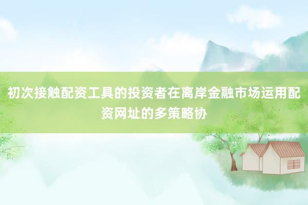 初次接触配资工具的投资者在离岸金融市场运用配资网址的多策略协