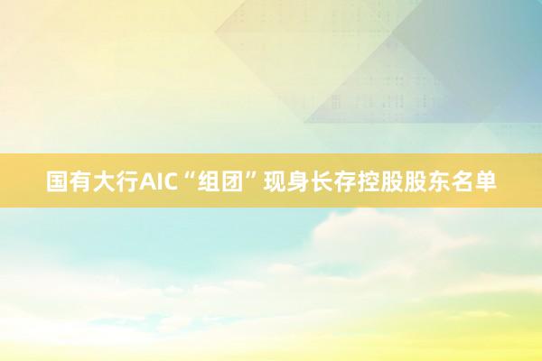 国有大行AIC“组团”现身长存控股股东名单