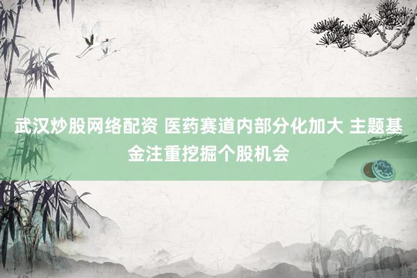 武汉炒股网络配资 医药赛道内部分化加大 主题基金注重挖掘个股机会