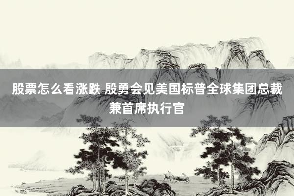 股票怎么看涨跌 殷勇会见美国标普全球集团总裁兼首席执行官