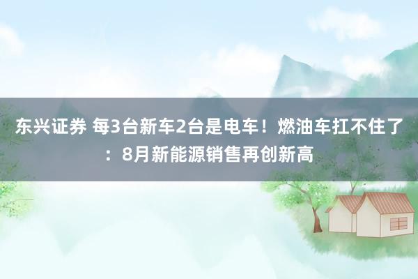 东兴证券 每3台新车2台是电车！燃油车扛不住了：8月新能源销售再创新高