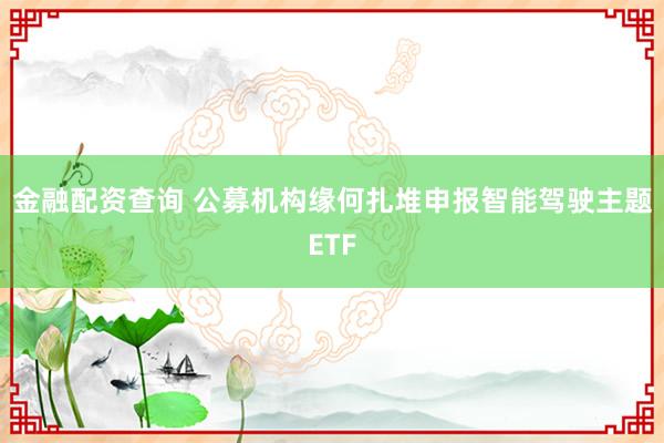 金融配资查询 公募机构缘何扎堆申报智能驾驶主题ETF