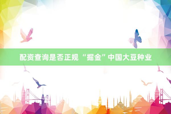 配资查询是否正规 “掘金”中国大豆种业