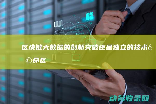 区块链 大数据的创新突破还是独立的技术革命 (区块链大数据未来科技世)