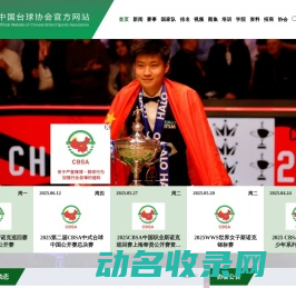 中国台球协会